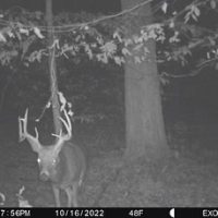 Trail-cam strategies (with over 100 cameras used in the field) Trail-cam strategies (with over 100 cameras used in the field)