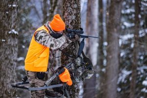 Hunting Insights