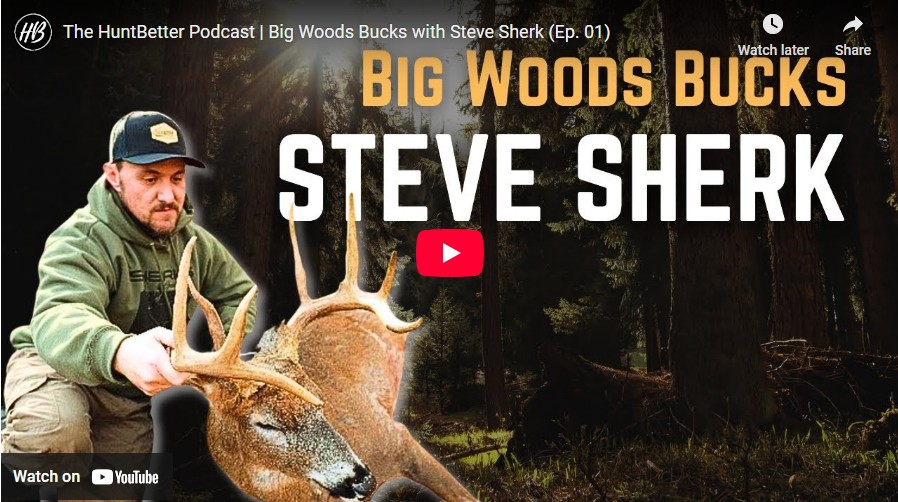 Big Woods Bucks with Steve Sherk — HuntBetter Podcast Episode Big Woods Bucks with Steve Sherk — HuntBetter Podcast Episode