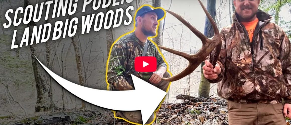 PA Big Woods Deer Scouting With Steve Sherk: Buck Bedding & Post-Season Insight
