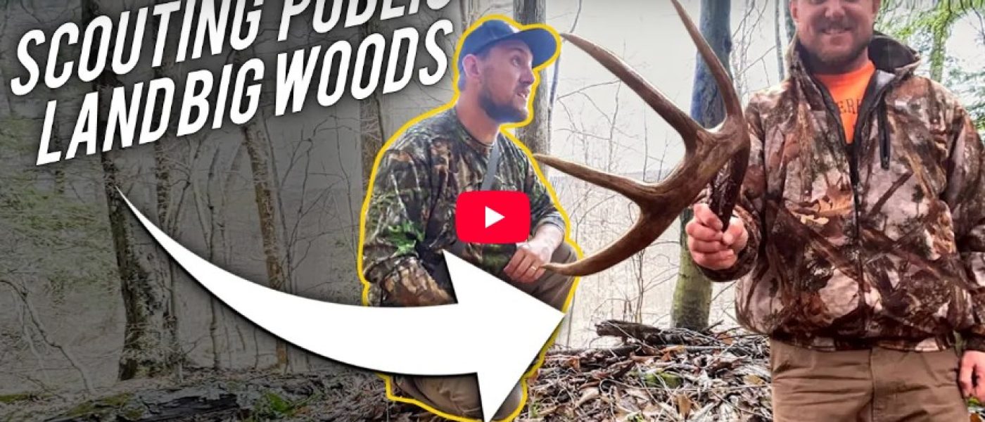 PA Big Woods Deer Scouting With Steve Sherk: Buck Bedding & Post-Season Insight
