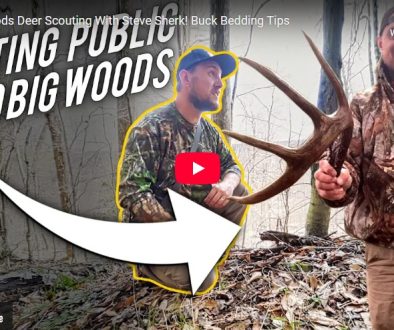 PA Big Woods Deer Scouting With Steve Sherk: Buck Bedding & Post-Season Insight