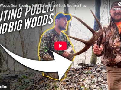 PA Big Woods Deer Scouting With Steve Sherk: Buck Bedding & Post-Season Insight