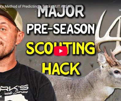 Steve Sherk’s Method of Predicting a Buck’s Rut Area