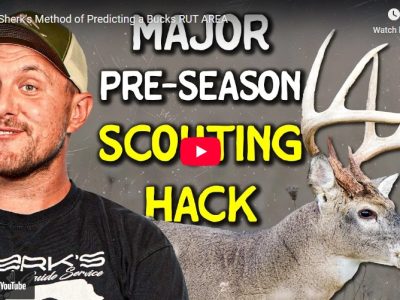Steve Sherk’s Method of Predicting a Buck’s Rut Area