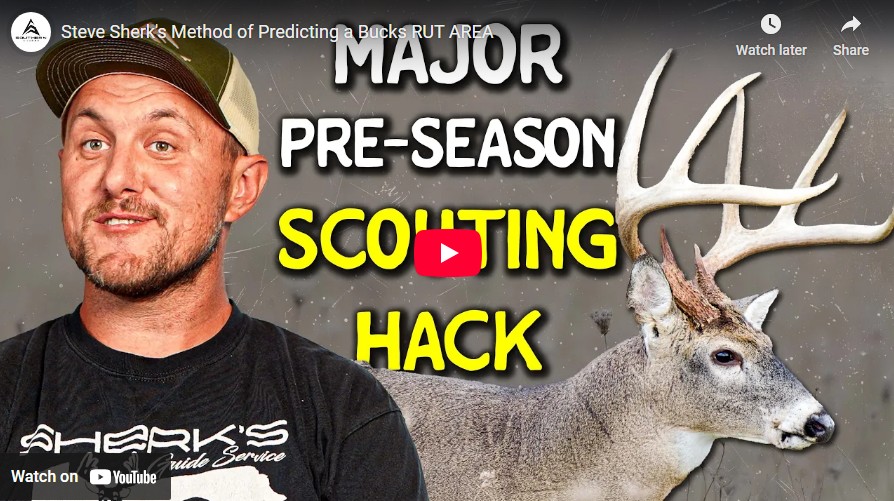 Steve Sherk’s Method of Predicting a Buck’s Rut Area Steve Sherk’s Method of Predicting a Buck’s Rut Area