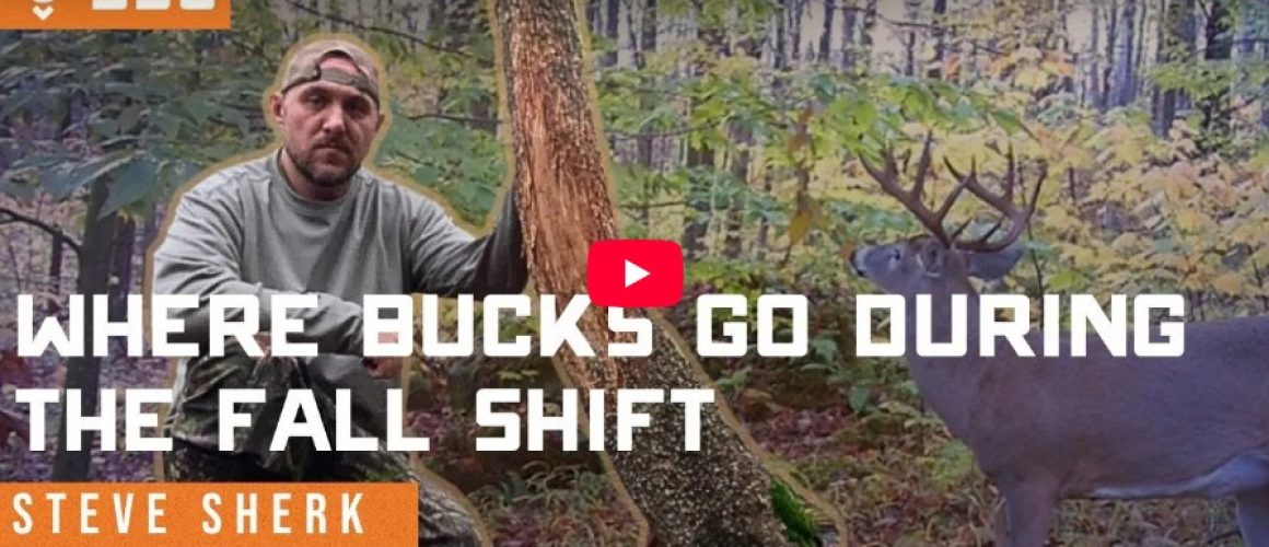 Where Bucks Disappear to During the Fall Shift — Steve Sherk Interview