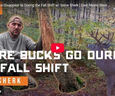 Where Bucks Disappear to During the Fall Shift — Steve Sherk Interview