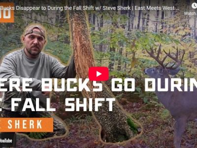 Where Bucks Disappear to During the Fall Shift — Steve Sherk Interview
