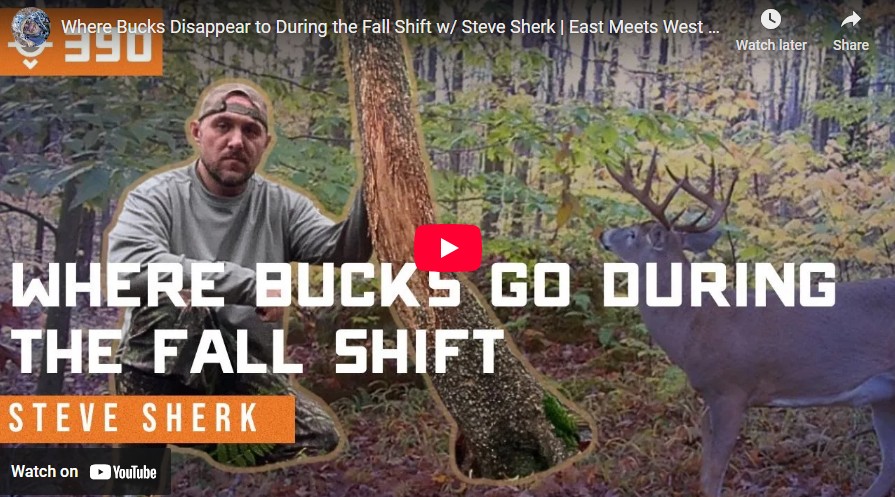 Where Bucks Disappear to During the Fall Shift — Steve Sherk Interview Where Bucks Disappear to During the Fall Shift — Steve Sherk Interview